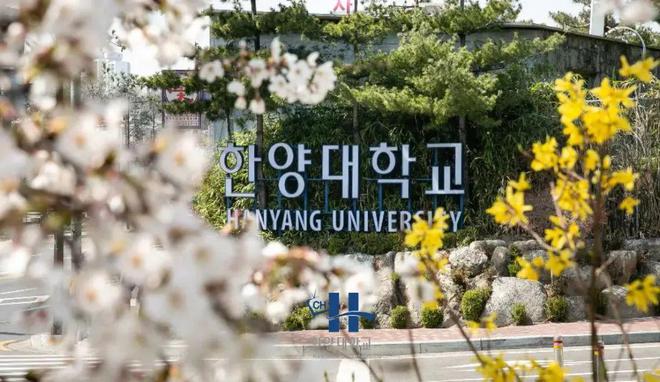 雷竞技RAYBET韩国留学丨推荐值得选择的热门专业(图5)