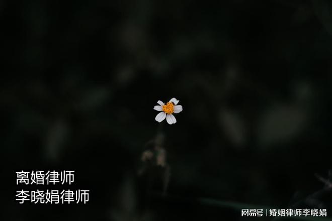 雷竞技RAYBET·(中国)官方网站婚内自媒体账号的财产归属：离婚时如何分割？杭(图2)